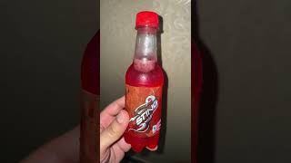 Energy Drink Mein Kitna Fizz Hota Hai  ? || Sting Try Karo || fizz