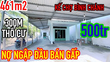 NỢ NẦN QUÁ CHỦ CẦN BÁN GẤP NHÀ BÌNH CHÁNH . NGAY ĐƯỜNG ĐINH ĐỨC THIỆN NHÀ CẤP 4 HOÀN CÔNG SẴN