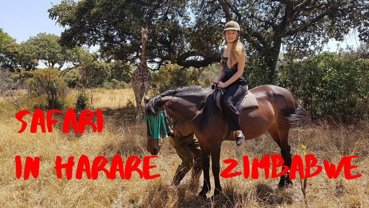 Safari In Harare Zimbabwe