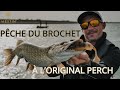 Pche du brochet avec loriginal perch  westin fishing france