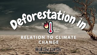Famous Deforestation in Relation to Climate Change Wealth