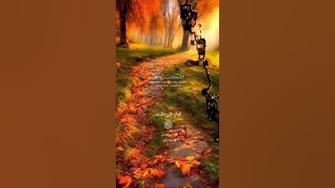 قران كريم ارح قلبك وسمعك #قران_في_دقيقة @قران_في_دقيقة #قران #المصحف #quran #اسلام_صبحي