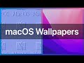 macOS Wallpaper Evolution (1997 - 2021)