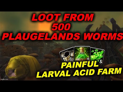 500 PLAGUELANDS CARRION GRUBS WOW CLASSIC LARVAL ACID WARRIOR GOLD FARM