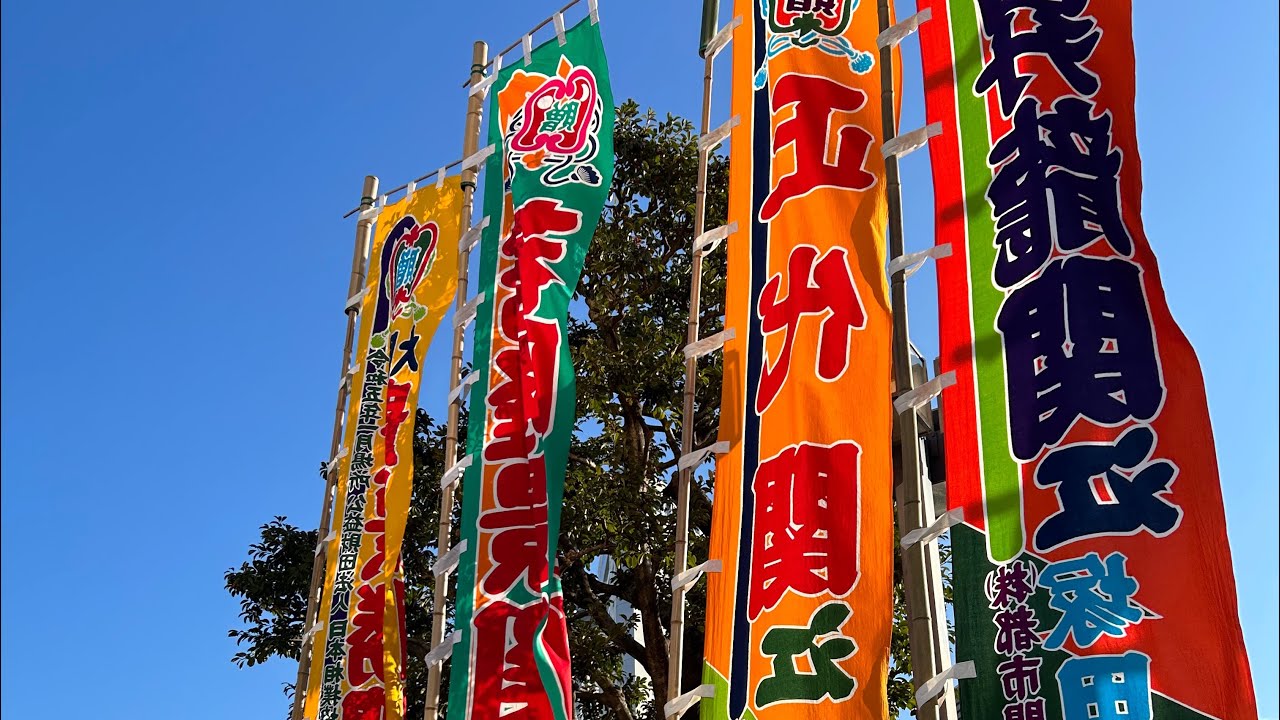 令和五年初場所の のぼり旗全部 朝乃山 貴景勝 若隆景 若元春【大相撲 