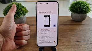 Change Navigation Mode on Google Pixel 9 Pro 🔄 | Gesture or 3-Button Navigation