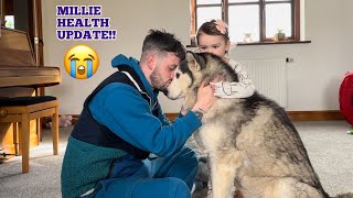 MILLIES HEALTH UPDATE!