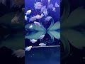 Platinum Butterfly Koi Carp Collection 658 - Small Butterfly Koi Fish Eating Time, Feeding Koi Fish