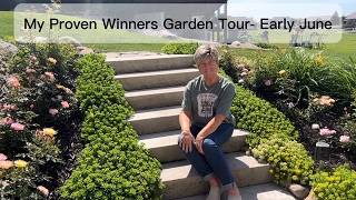 My Proven Winners Garden Tour in Early June, Ohio 6B