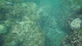 20130609 萬里桐浮潛 浪大水濁 part 2
