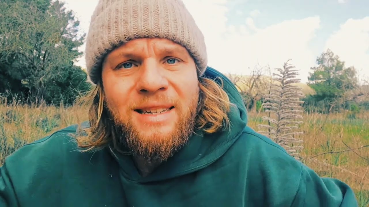 Die geistige Welt flüsterte in dein Ohr: 