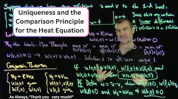 Uniqueness and Comparisons Results for the 1d Heat Equation