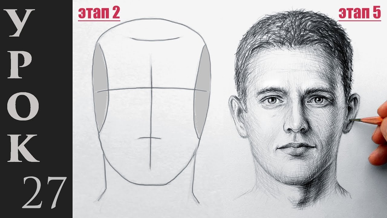 ⁣Как нарисовать портрет, лицо и голову человека. Техника Эндрю Лумиса.