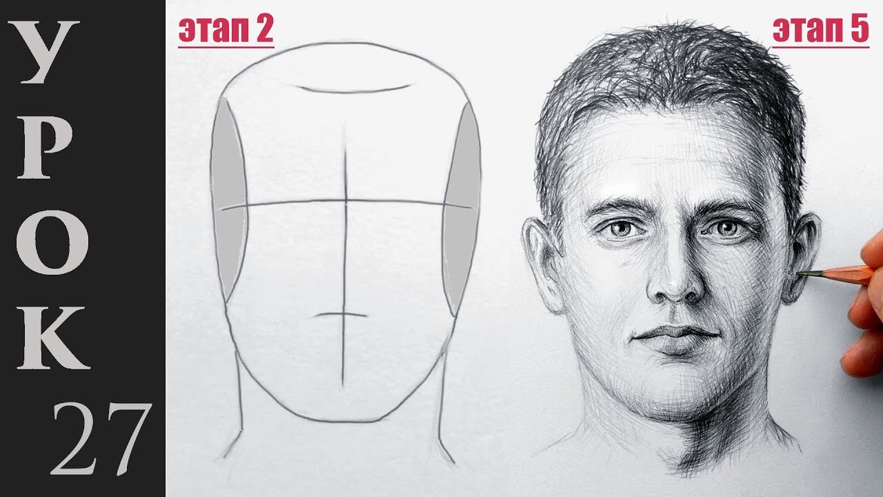 Как поэтапно нарисовать портрет - карандашом?