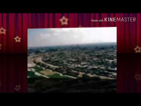 حسام جنيد الفرح بيلبقلك ياشام