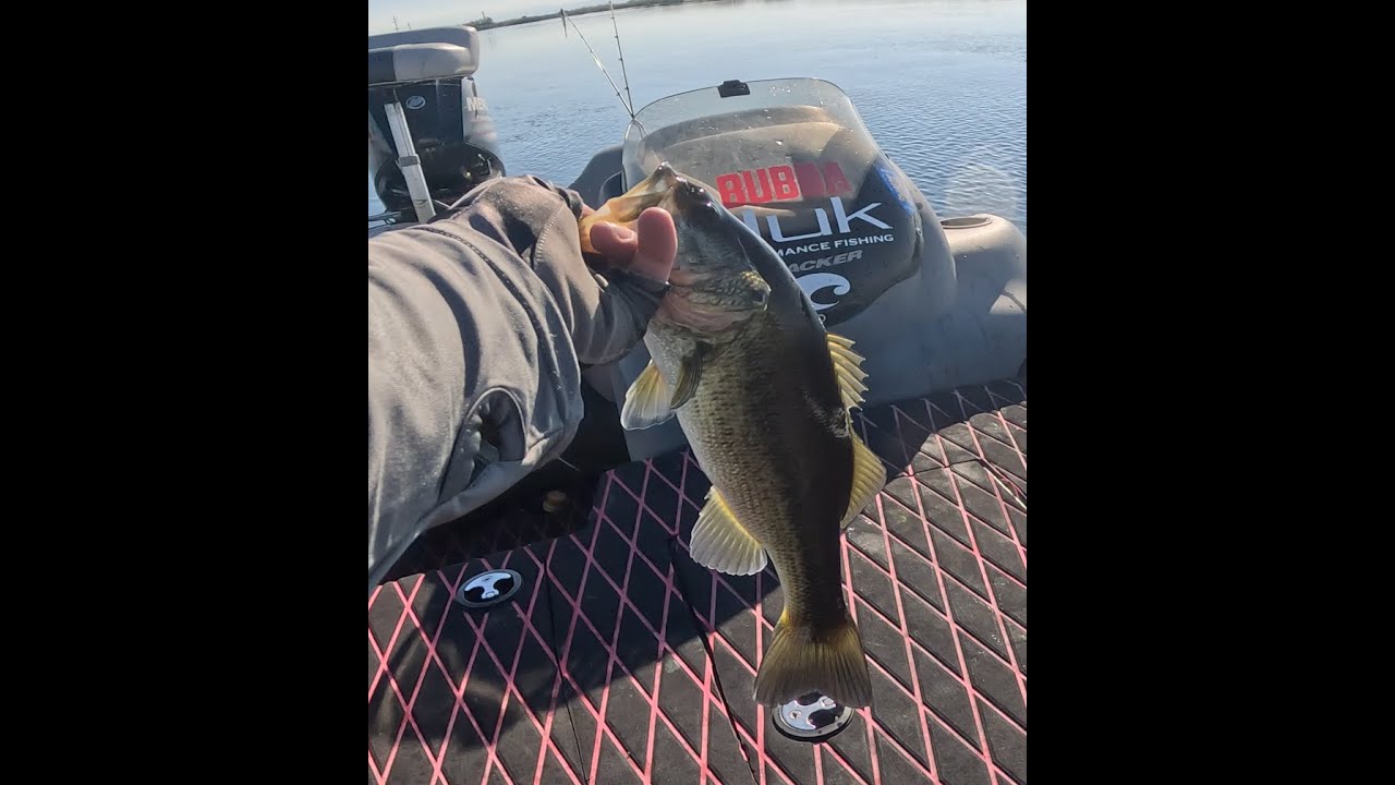 Tough and Slow day of Bass Fishing