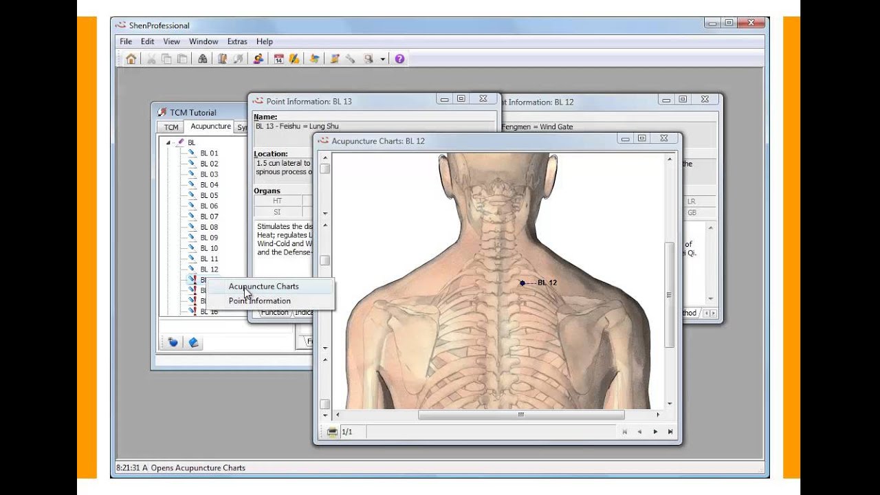 Acupuncture Charting Software