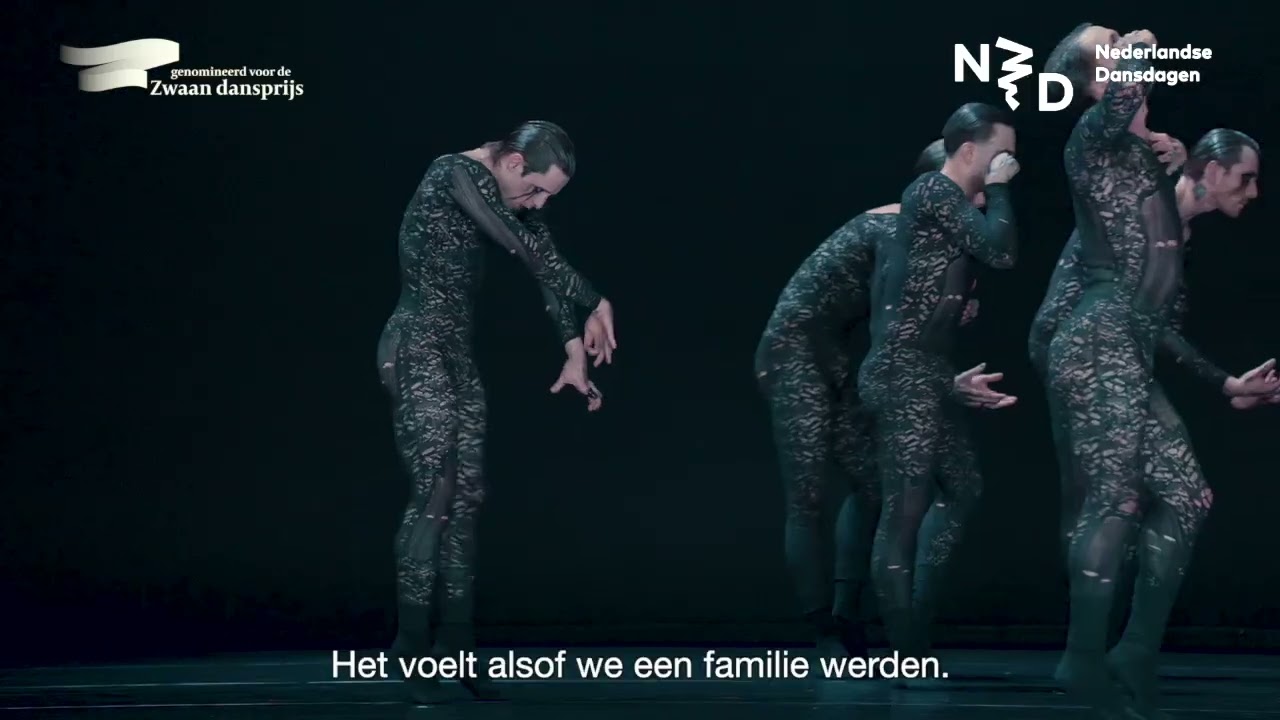 𝐈𝐧 𝐝𝐞 𝐬𝐩𝐨𝐭𝐥𝐢𝐠𝐡𝐭: 𝐃𝐚𝐧𝐬𝐞𝐫𝐬 𝐍𝐃𝐓 𝐞𝐧 𝐒-𝐄-𝐃