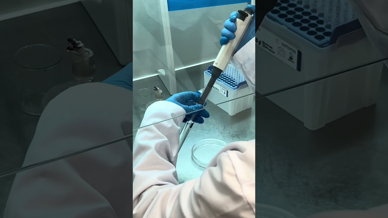 Эстетика биотехнологии в ИТМО 💅 