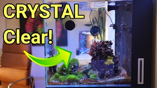 I Accidentally Discovered the Secret to PERFECT Water Clarity | The Prestige Reef Dork Show Ep 105
