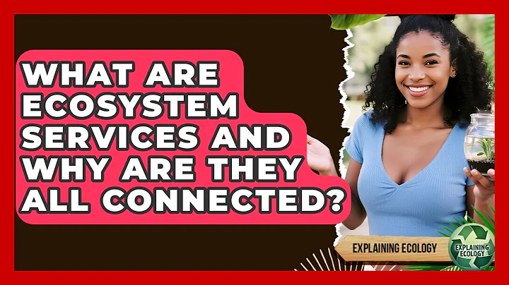 What Are Ecosystem Services And Why Are They All Connected? - Explaining Ecology