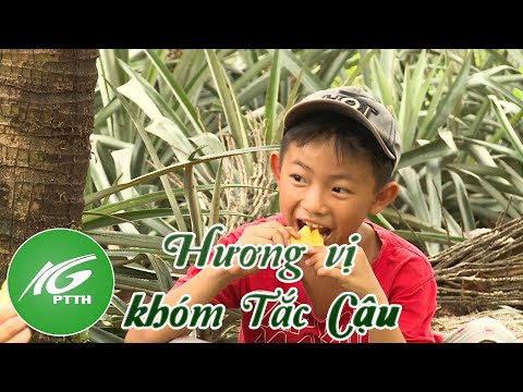 Video Hương vị khóm Tắc Cậu | THKG - youtube