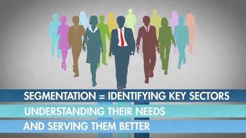 Segmentation video (long)