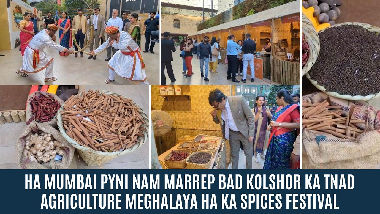 HA MUMBAI PYNI NAM MARREP BAD KOLSHOR KA TNAD AGRICULTURE MEGHALAYA HA KA SPICES FESTIVAL