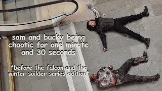 Sam And Bucky Being Chaotic For 1 Minute And 30 Seconds Before Fatws Series Edition