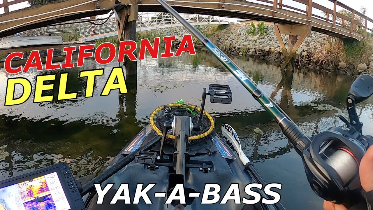 California Delta Kayak Bass Tournament YAKABASS (Day 2) YouTube