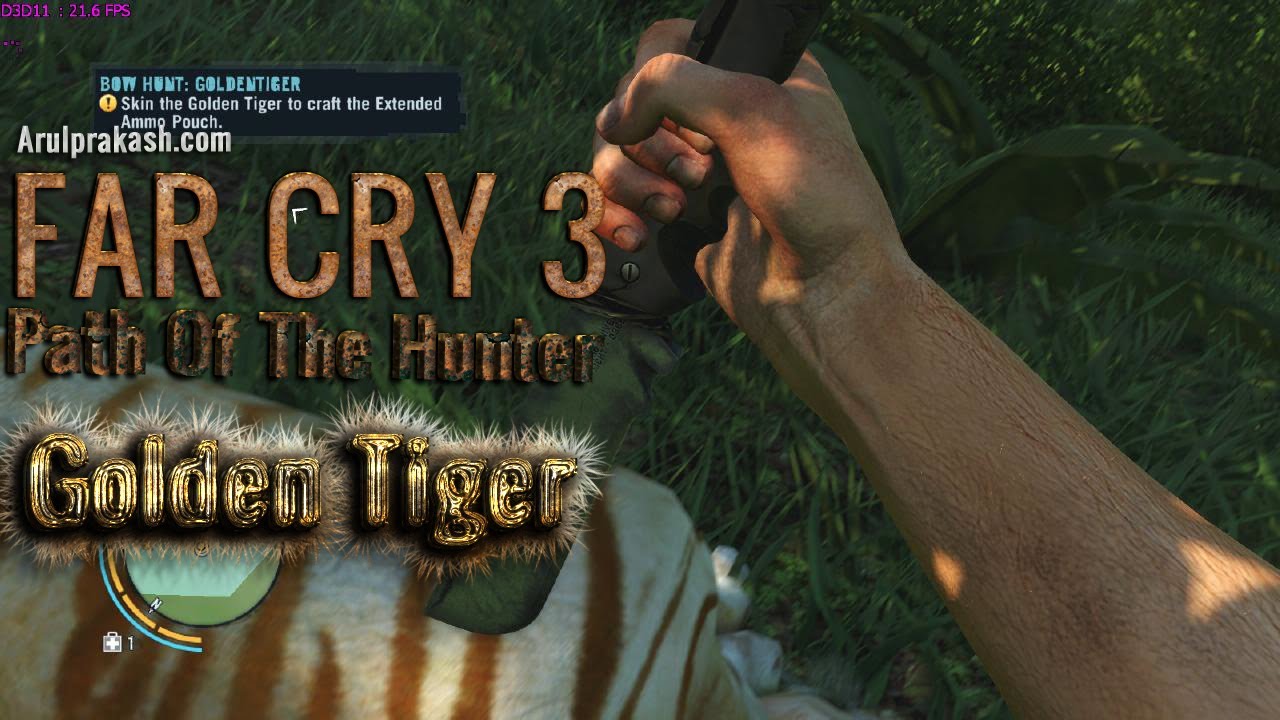 Rare Golden Tiger Bow Hunt [Unlock Extended Ammo Pouch] Far Cry 3 Path Of The Hunter YouTube