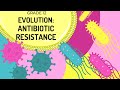 Evolution and Natural Selection Quiz