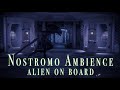 Alien  nostromo ambience  roaming alien on board  studying  relaxing  nightmare fuel