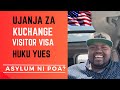Ujanja Za Kubadilisha Visitor Visa Huku Yues Asylum Ni Poa