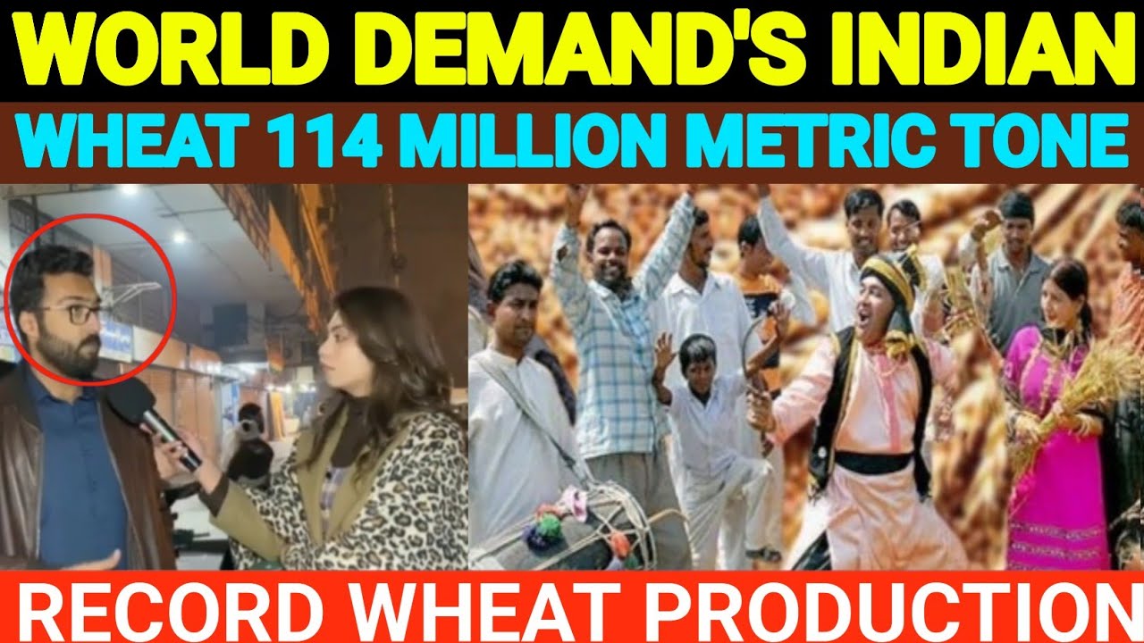 WORLD DEMANDS INDIAN WHEAT🔥-114 MILLION METRIC TONNE RECORD WHEAT ...