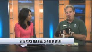 ASPCA's 'Mega Match-a-thon' adoption event