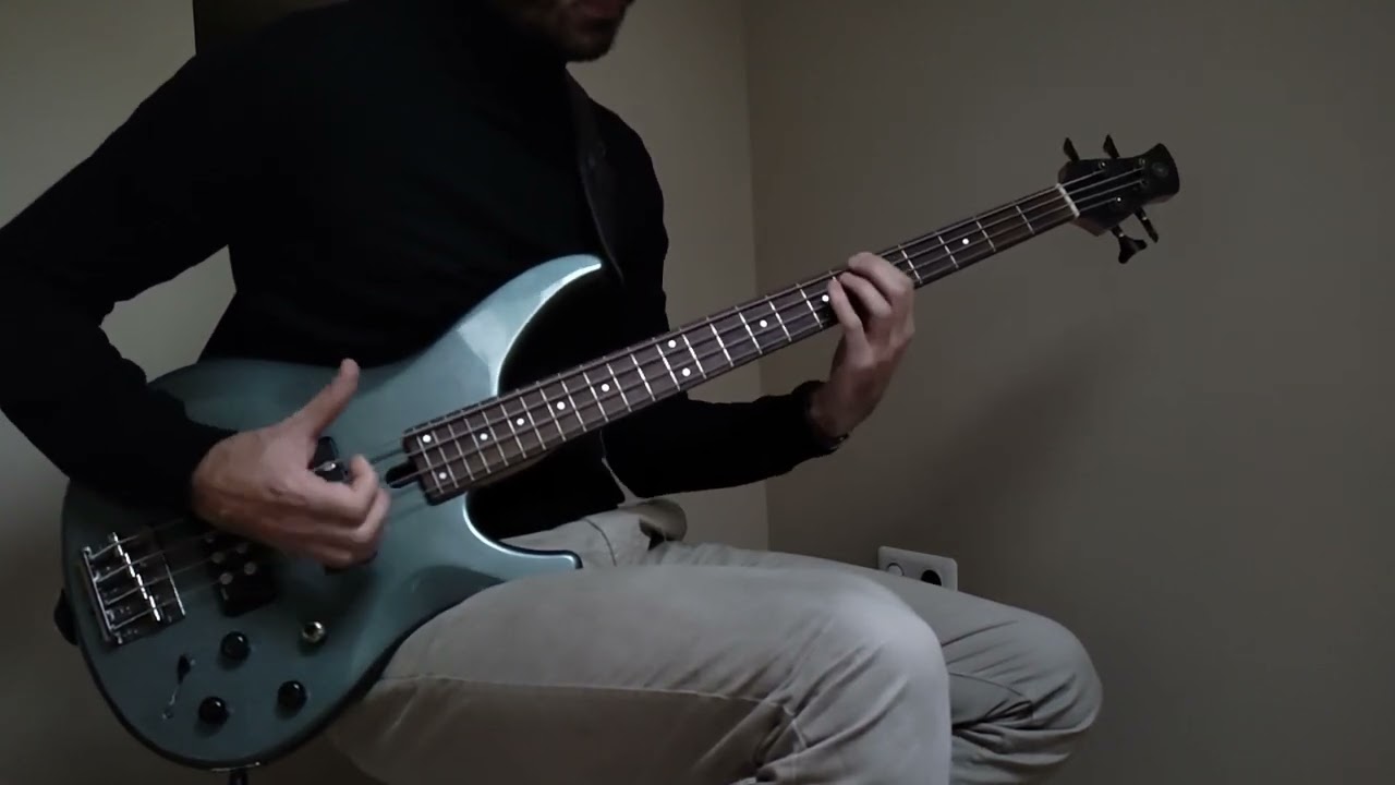 Red Hot Chili Peppers - Can't Stop (Bass Cover)