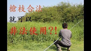 【諺仔】是澄清文，是澄清文，是澄清文~很重要很重要很重要，所以說三次!!! #J爸 #移除綠鬣蜥