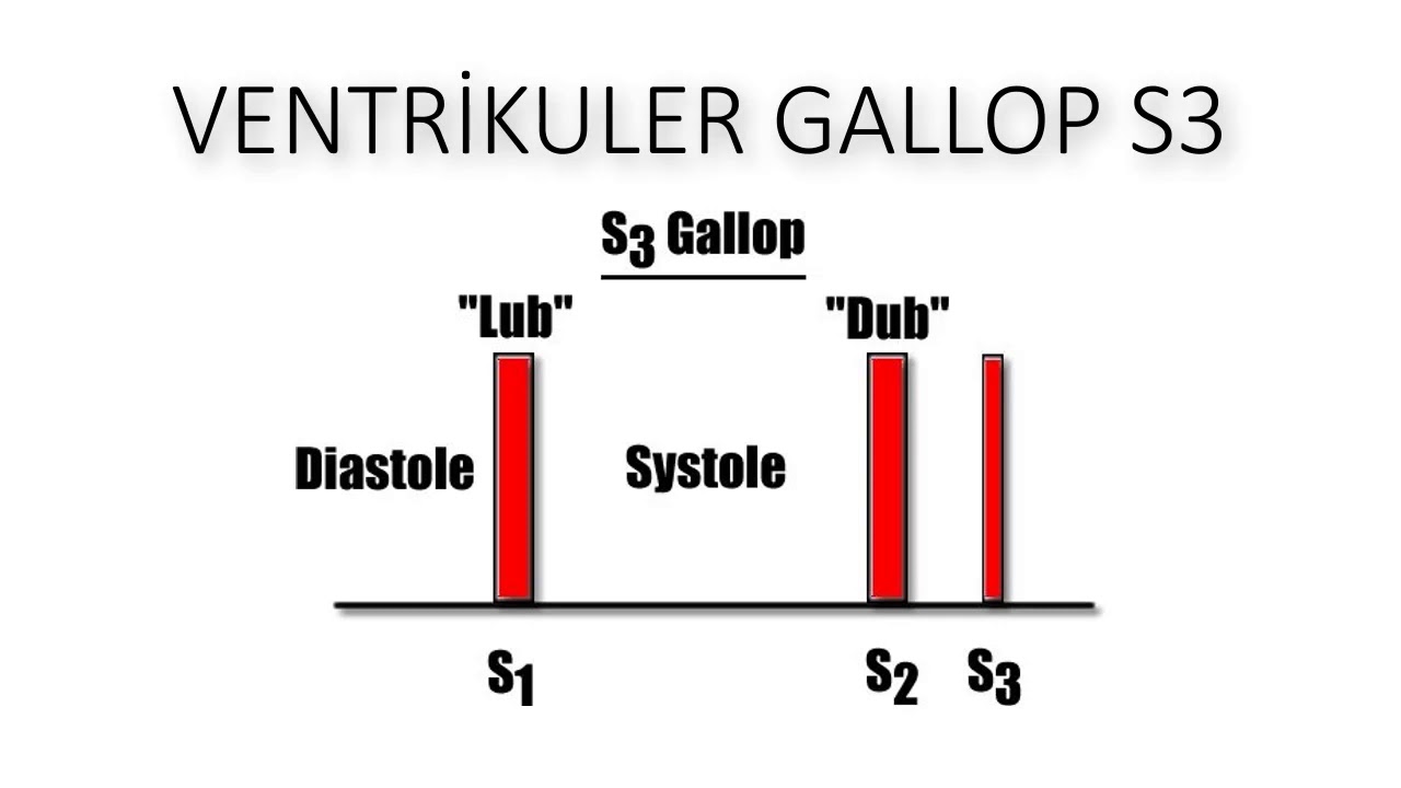 KALP SESLERİ (YENİ) YouTube KALP SESLERİ (YENİ) YouTube