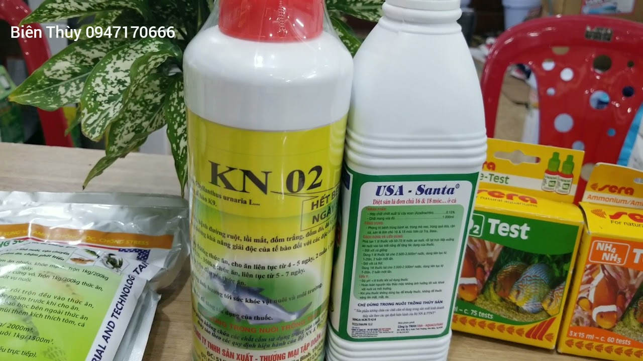 Bộ phòng trị bệnh xuất huyết, lở loét, lồi mắt, đen đầu trên cá