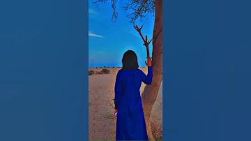 شيله ياعاشقين البر 