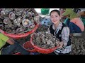 Fresh Oyster Buying - Have You Ever Cook Oyster In This Way? Crispy Oyster Cooking -  Yummy Recipe