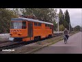 50 Jahre Tatrawagen in Halle - Jubiläumskorso