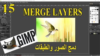 15 - للمبتدئين طريقة دمج الصور والطبقات MERGE LAYERS IN GIMP screenshot 3