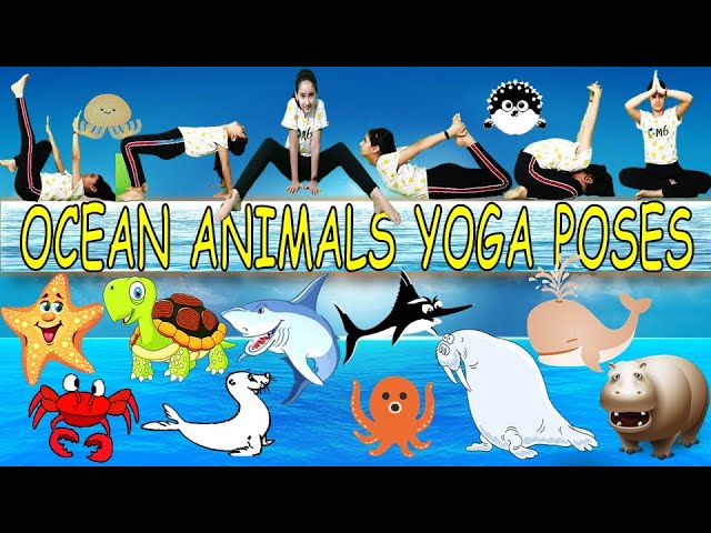 Funny animals in sportswear standing yoga pose Vector Image