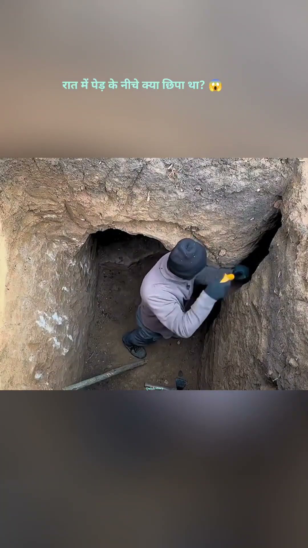 जंगल का राजा - ShareChat