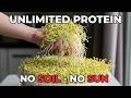 Grow Unlimited Protein In A Trash Can. No Soil.No Sunlight. The 5 Min Setup.