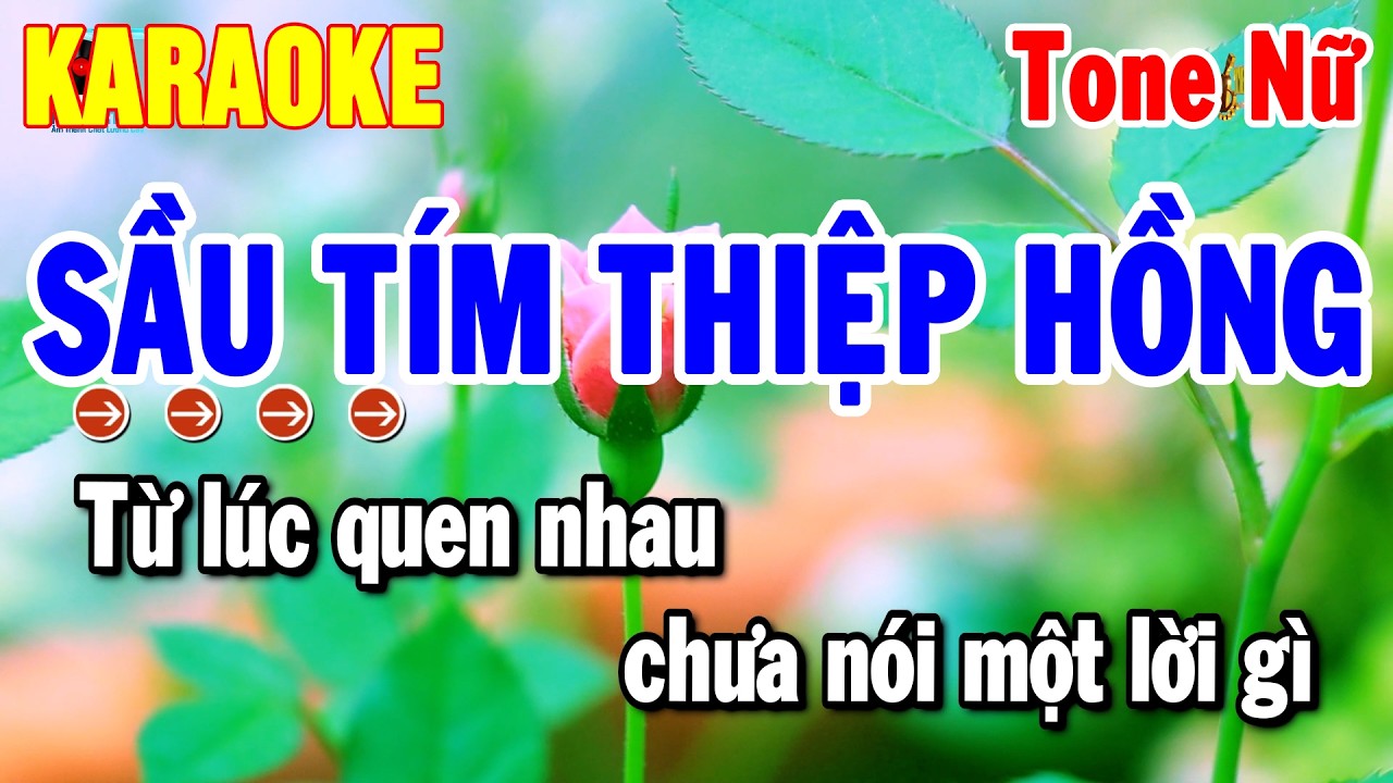 Karaoke Sầu Tím Thiệp Hồng Tone Nữ Nhạc Sống Trữ Tình Dễ Hát 2026 | Thanh Hải