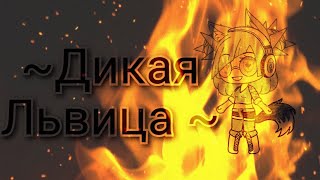 |Дикая львица| • Gacha life•