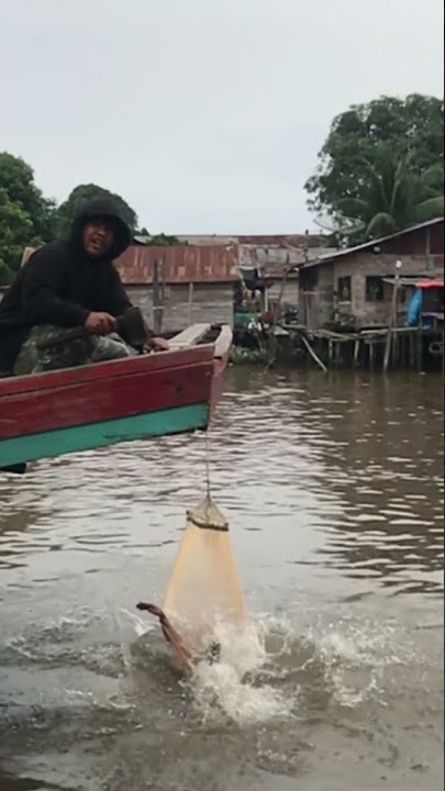 Sehari Sebelum Kejadian Mutilasi Teman Sendiri #Shorts